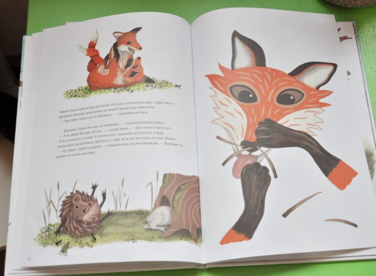 Ежик покидает дом