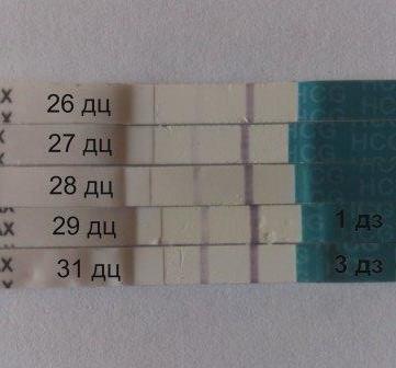 У нас получилось!