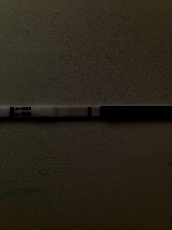 a53f9abedd6385b50797b3a89fedc36f.jpg