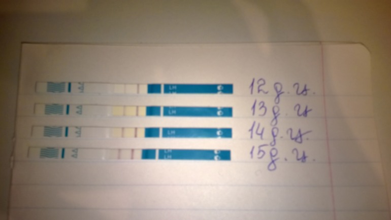 Мои  тесты на овуляцию.Оцените пожалуйста...