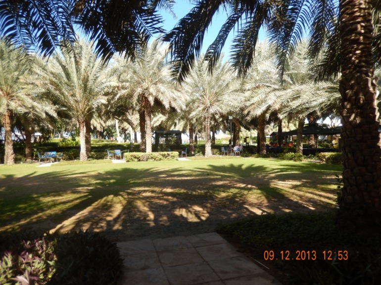 Coral Beach Resort 4* в Шарже, декабрь 2013 г.