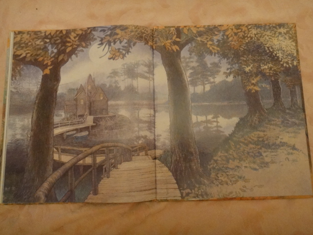 Посылка из Озона! И мой первый обзор)