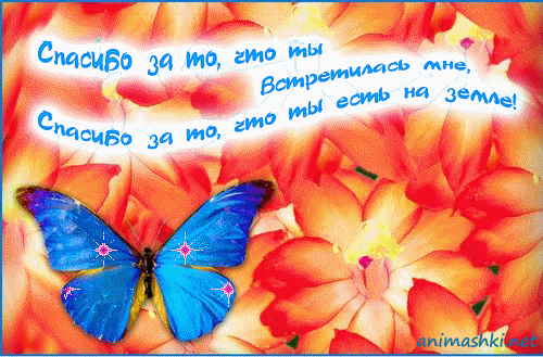 8e00cb0a67ebe8dd5b8e97fe91bd68e2.gif