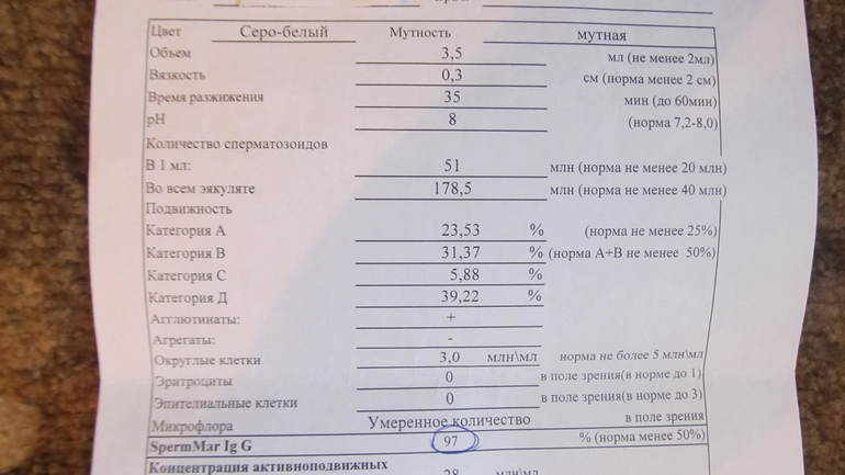 НАША СПЕРМОГРАММА.Помогите,все так плохо?