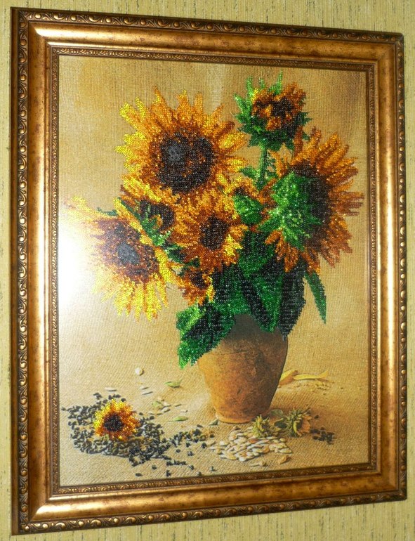 Мои подсолнухи