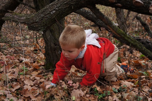 Контрольное задание № 7. "Корректируем фотографию при помощи кривых"