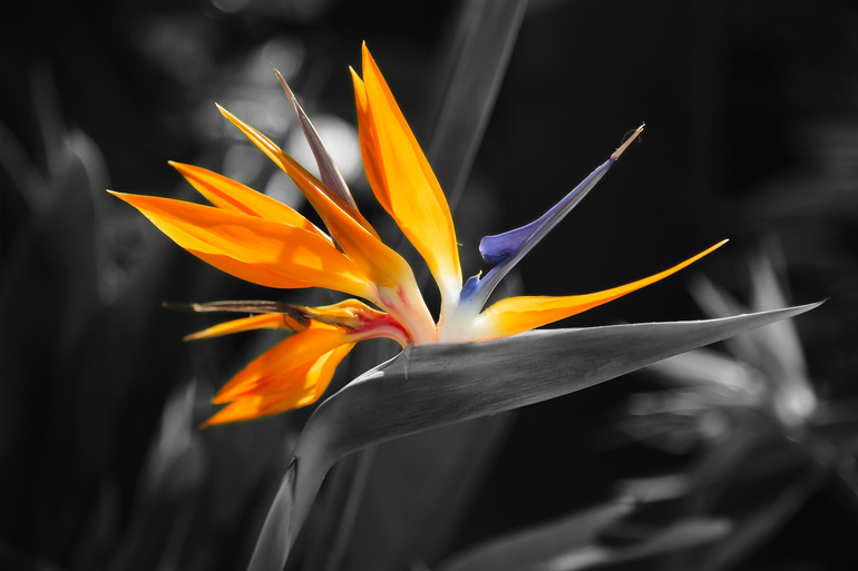 Контрольное задание № 6.