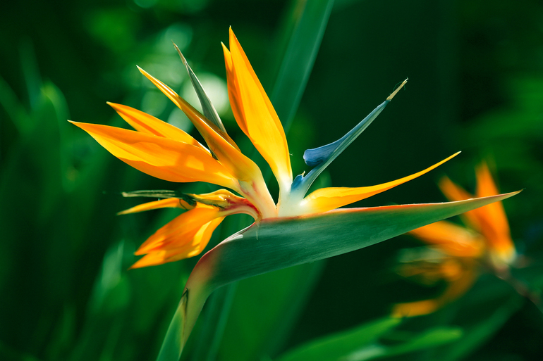 Контрольное задание № 6.