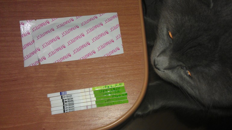 Неужели я ее поймала, 16 дц!