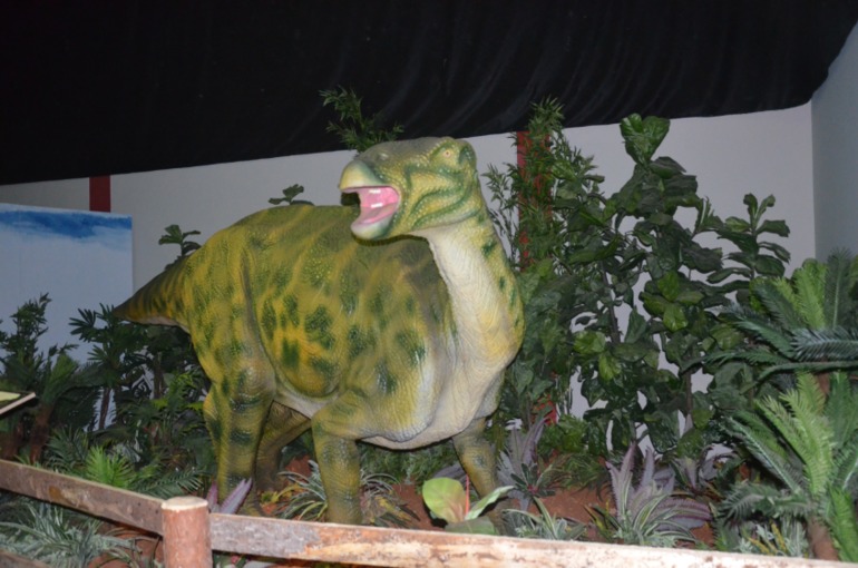 Aquis Zorbas Village и наши поездки по Криту. 2 часть