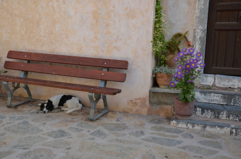 Aquis Zorbas Village и наши поездки по Криту. 2 часть