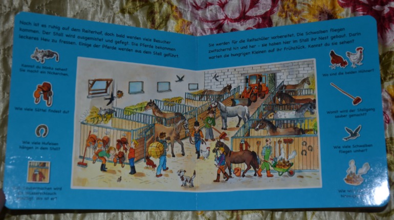 Wimmelbuch.Огромное количество фото