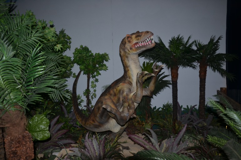 Aquis Zorbas Village и наши поездки по Криту. 2 часть