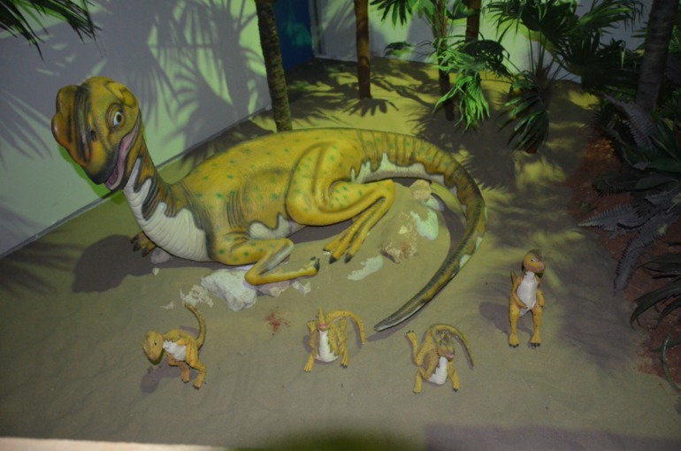 Aquis Zorbas Village и наши поездки по Криту. 2 часть