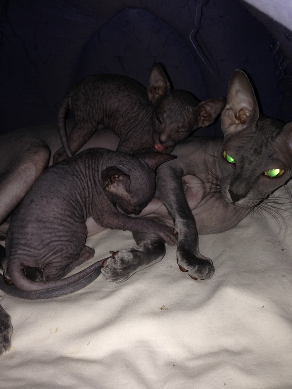 1 месяц ушастикам!!!))