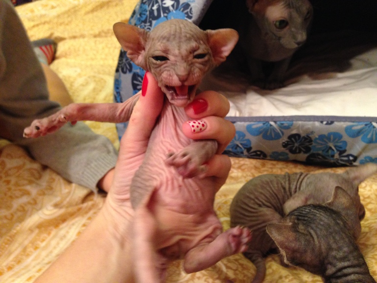 Мой дет.сад))))