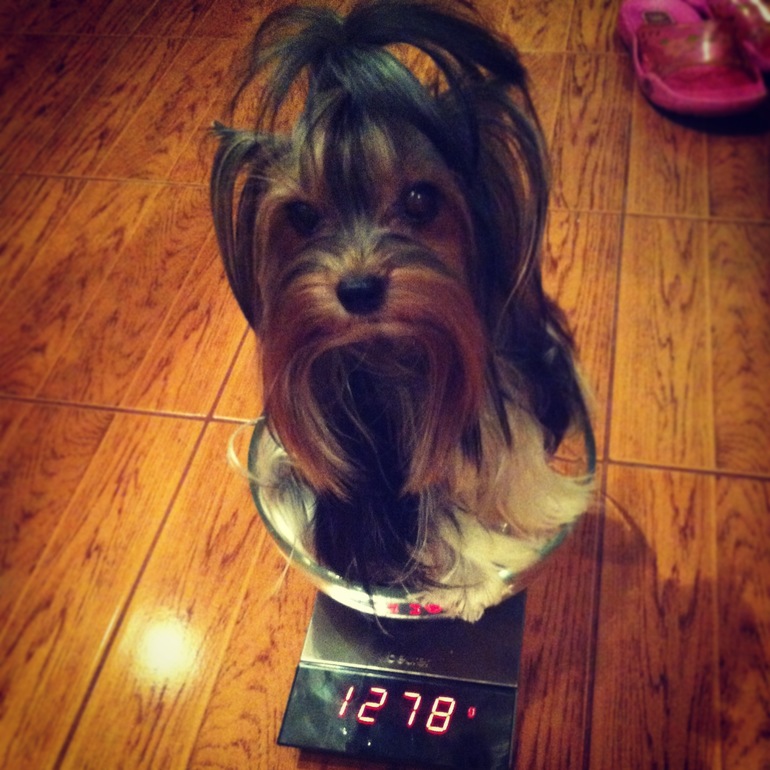 Мои малышка!)