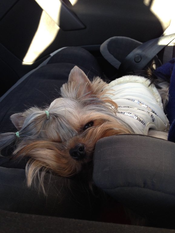 Долька и Куся)