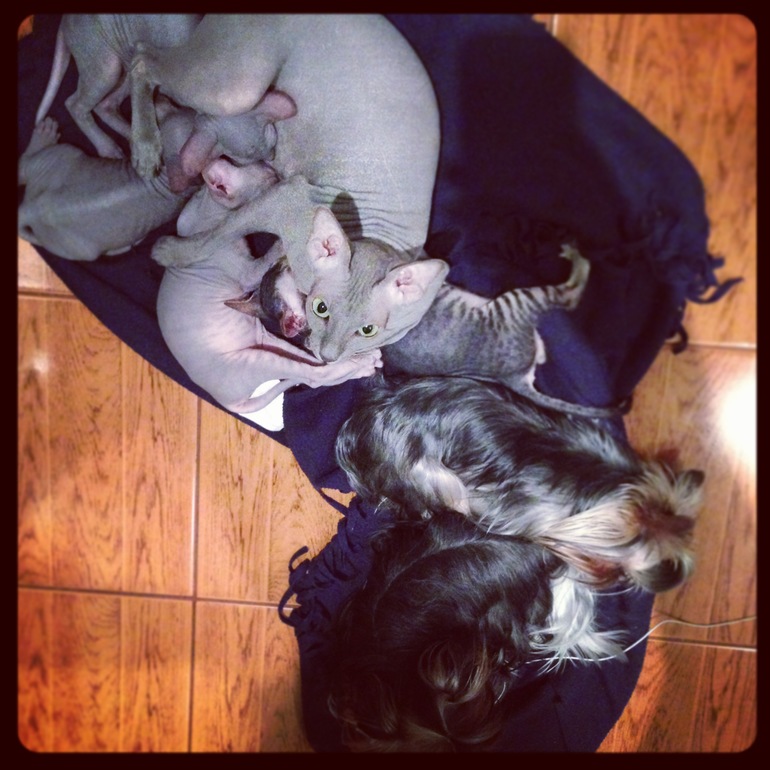 Вот она настоящая дружба!!!