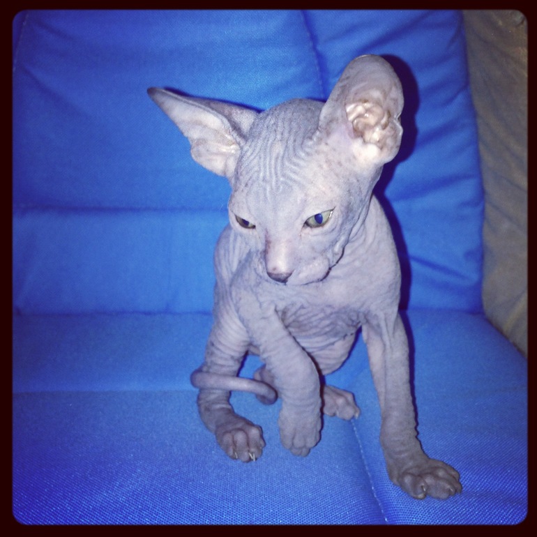 Наши малышастики!!!