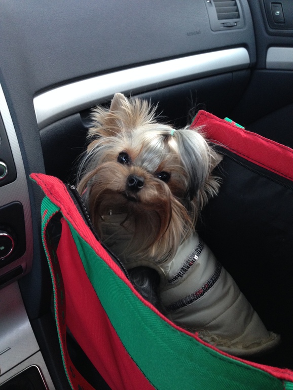 Кукси сладкая девочка)