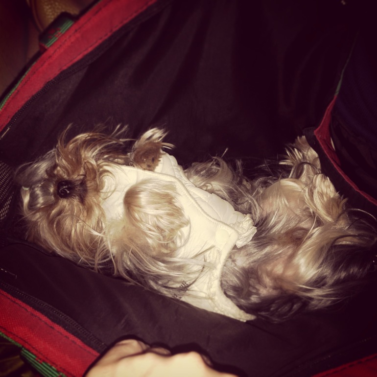 Кукси сладкая девочка)