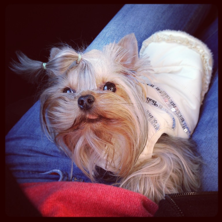 Долька и Куся)