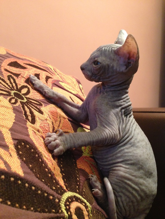 Наши малышастики!!!