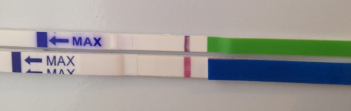 Фрау и МонАми