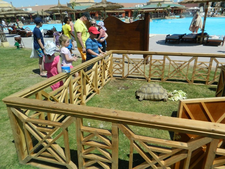 Египет Хургада Март