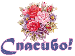 6e4669fa4aa956c8f42aa6130602318d.gif