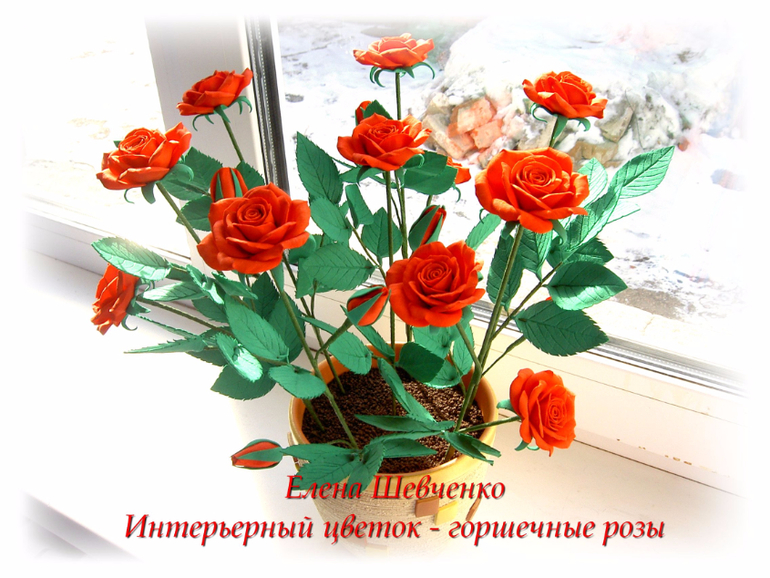Пошлые поздравления с днем рождения в смс девушке