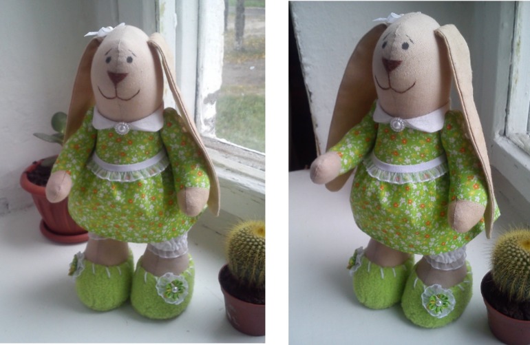 Первая зая.