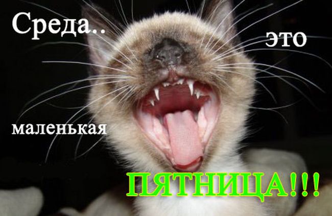 Fly-эстафета на среду - 11 декабря!