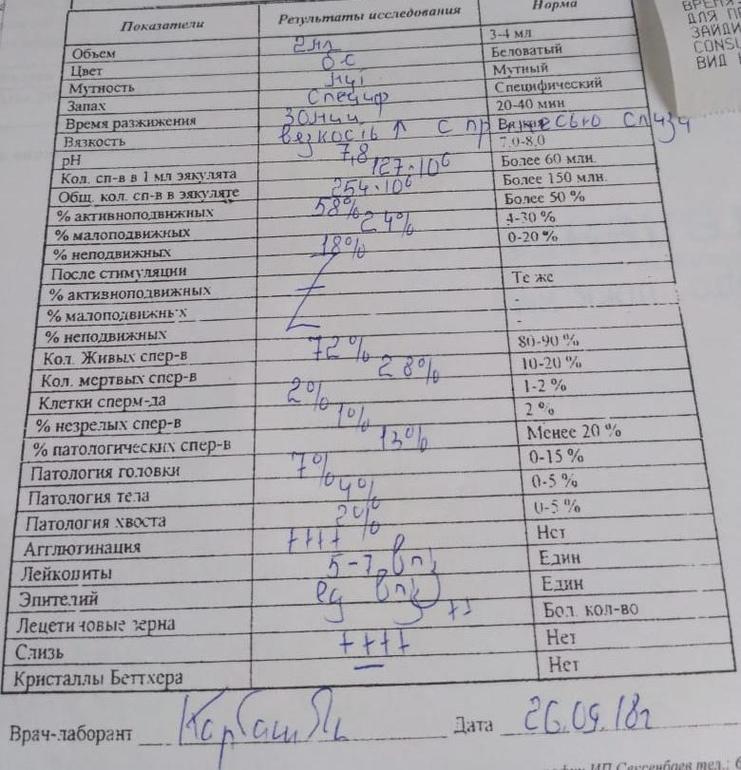Как сдается спермограмма у мужчин. Норма не норма спермограмма. Спермограмма собаки. Нормальная спермограмма у кобелей. Нормы анализа спермограммы для зачатия.