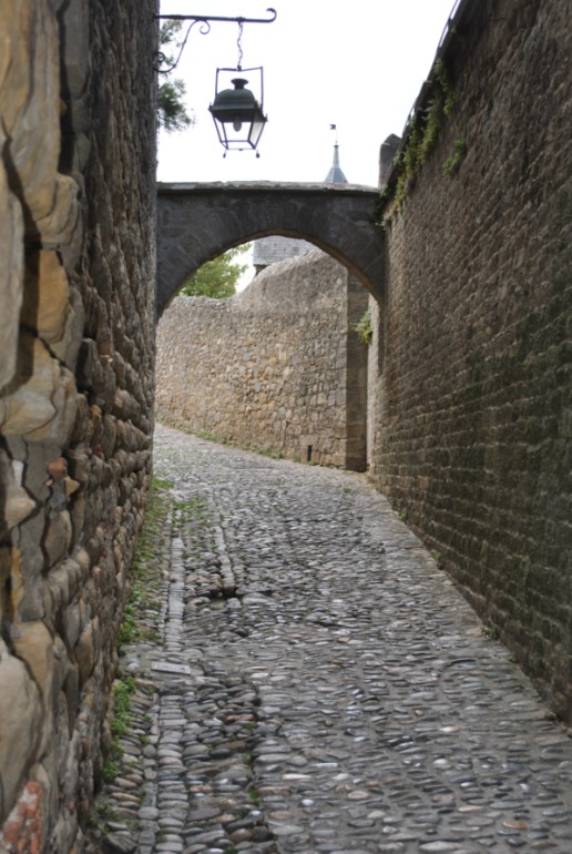 Франция: Каркассон