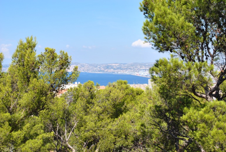 Отзыв о путешествии по Провансу и Лангедок-Руссильону! Часть 1: Марсель и Арль