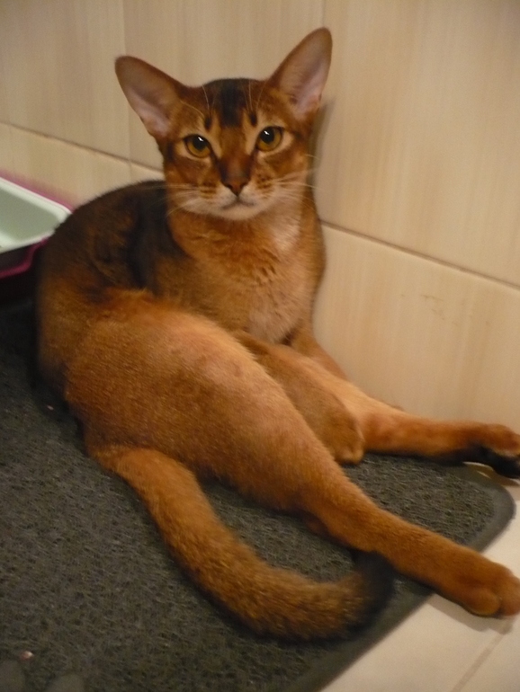 Тимофей Александрович :)