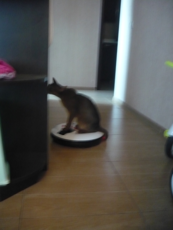 Тимофей Александрович :)