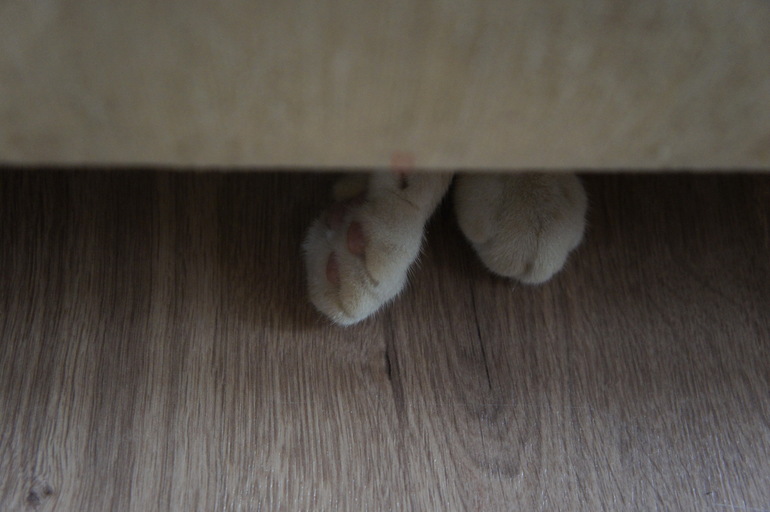 Мы еще подросли - нам 2 года