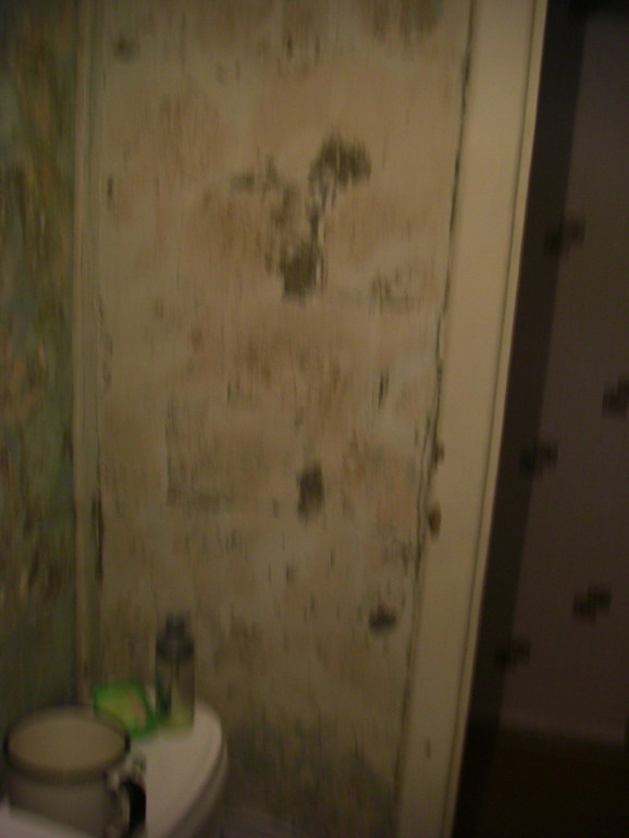 Ремонт нашей ванны