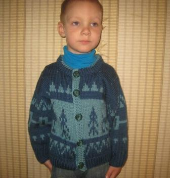 Кофта с оленями, котожилет и свитр- зебра для сына