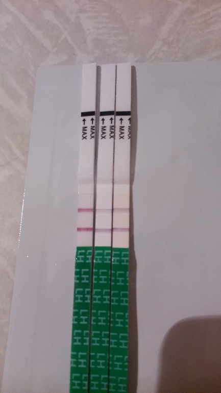 47e485e20ed675da77c932126a4f8e0c.jpg