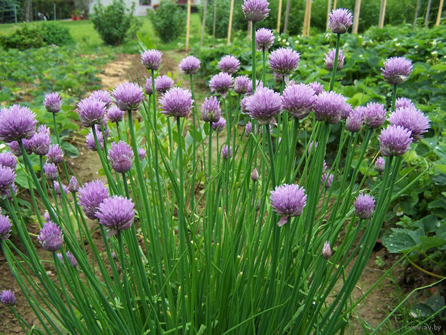 db6b6876b9ebc6cda7524d787a8918f0.jpg
