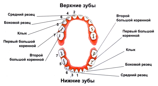 7793265a886798328672d867889f14b6.jpg