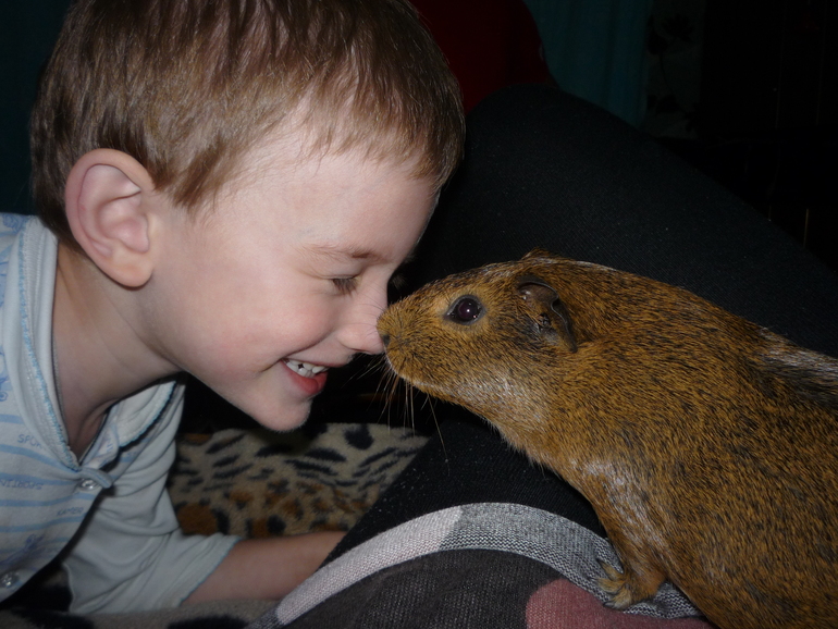 И как мы раньше без нее жили...