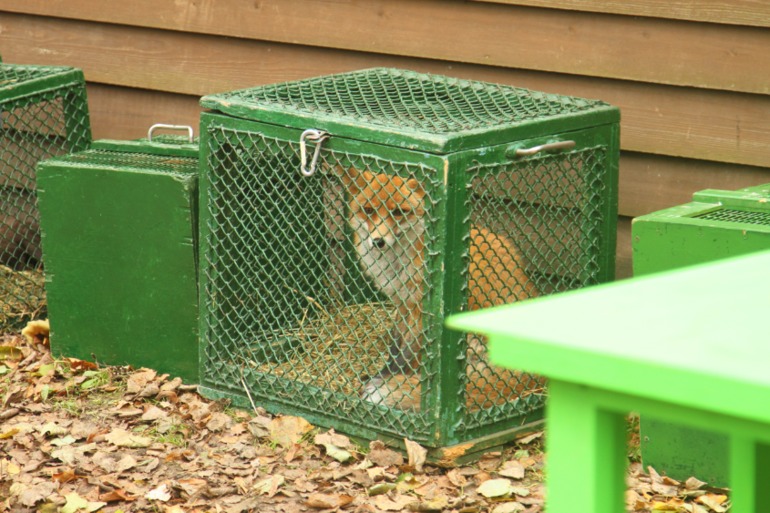 ЭПЦ «Царская пасека»