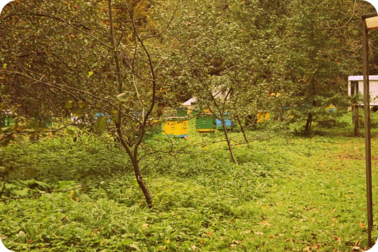 ЭПЦ «Царская пасека»