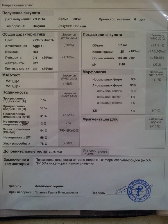 0fd8edc6a53894b1ba8cb6903ff063b4.jpg