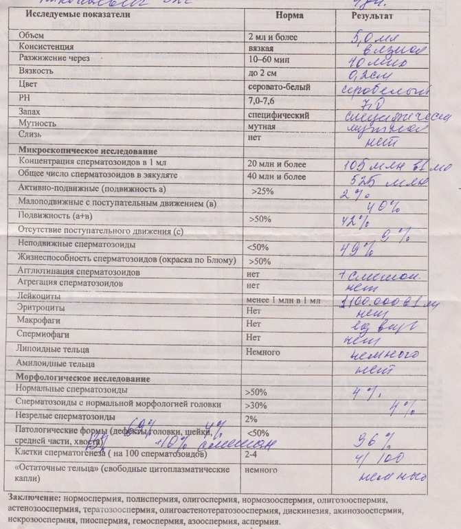 960d9d1df12778cbc75cfb189619b009.jpg